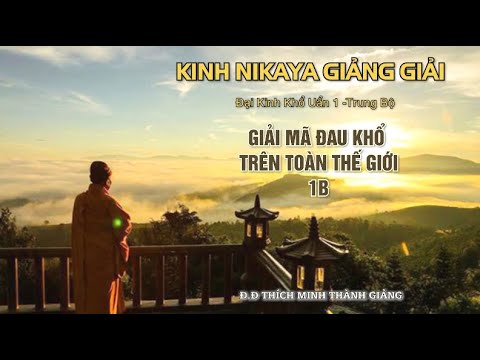 Kinh NIKAYA Giảng Giải - Giải Mã Đau Khổ Trên Toàn Thế Giới 1B