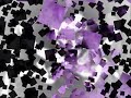 fm-fx-formerly-asia-carrera-get-it-right-now.htm