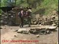 Yarchagumba - Himalayan Viagra Part 2
