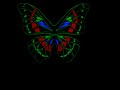 TQualizer - Butterfly TQualizer - Butterfly