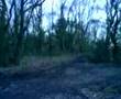 muxton woods jumps