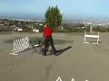 cisu advanced obedience training