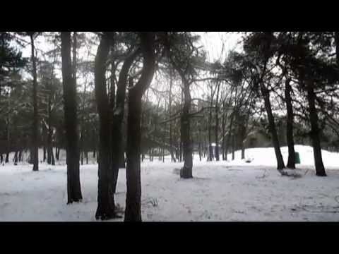 Winter Dutchland - JustConnect Vlog #4 - Jan14toJan20 2013