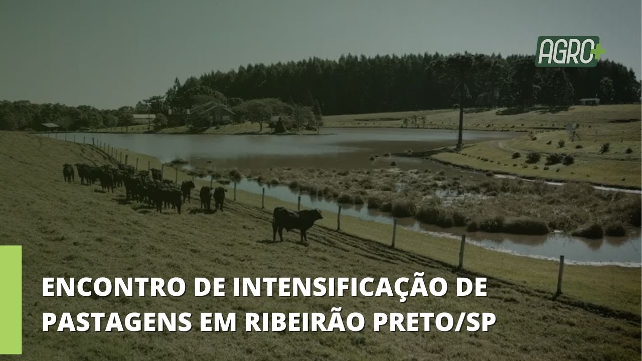Scot Consultoria Prepara Evento em Ribeirão Preto.