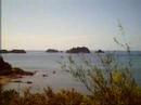 Scuba Diving Coiba