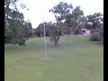 nokia phone