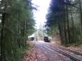 Mixed shots from the MT. Rainier Scenic Railroad