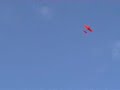 SPORSTER RTF SPORSTER RTF