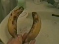 RUFUS PAPPA