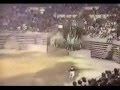 Monster-Truck-Crashe