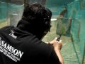 videos de Col Raffy Mendoza Standard Shooter
