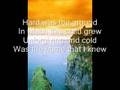 So Weird The rock Lyrics by Molly Phillips