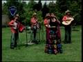 videos de Itzel Hernandez  Sentencia