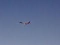 B-1B Takeoff At Dyess AFB