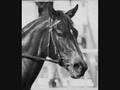 videos de Ruffian's Story: Queen Of The Track