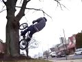 Barry - treeride