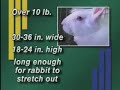 What size rabbit cage is needed each different size of rabbits? What size rabbit cage is needed each different size of rabbits?