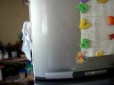Dripping Fridge 1