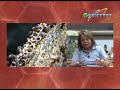 ELISA DE VALIENTE_EMPRESARIA EXPORTADORA DE MIEL