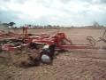 videos de Ghana 4 050