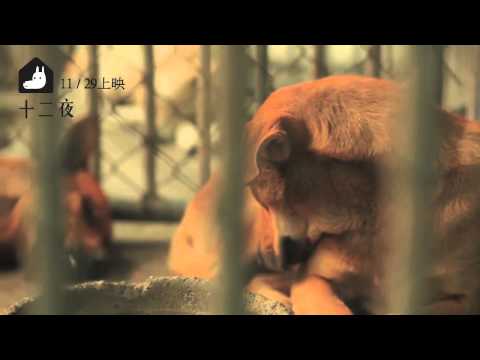 《十二夜 Twelve Nights》 電影花絮決定篇 11月29日上映 