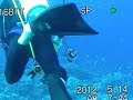 Click here to watch this video 2012年05月14日Apo reef クルーズダイビングＮＯ４.mpg