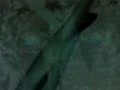 Tibur�n
