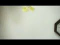 Flying Paper Butterfly - Http://web.singnet.com.sg/~csqf2828