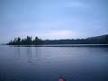 Common Loon Concert