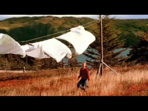 Voir le vidéo