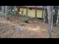 El Pital - El Salvador (46).mpg