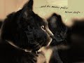 in the blood of our house cats runs that of their relatives; the great wild cats.  this song takes a look into that side of our loveable pets. :)

song: 