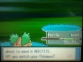 finally jolteon learns an electric type move comment rate and subscribe for more videos