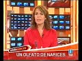 el refugio del burrito en españa directo