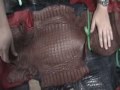 Caiman crocodile Yacare Belly Skins.flv