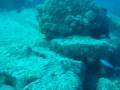 videos de immersioni Seychelles scubadiving fish shark ray nemo