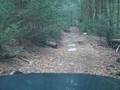 Breakneck-Trail-Smal