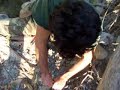 pesca primordiale