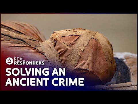 Was This Young Woman Pushed Off A Cliff? | New Detectives | Real Responders