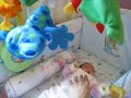 Six little mice.mov