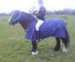BareBack-Riding-To-T