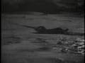 Norwegian Resistance 1 of 3