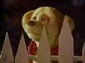 Sooper Puppy: Flying High (clip)
