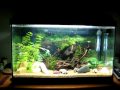 My aquarium with EHEIM PROFESSIONEL II 2026