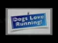 Video Thumbnail Image