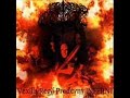 Noctes - Demonica.wmv
