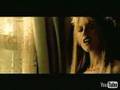 cranberries animal instinct