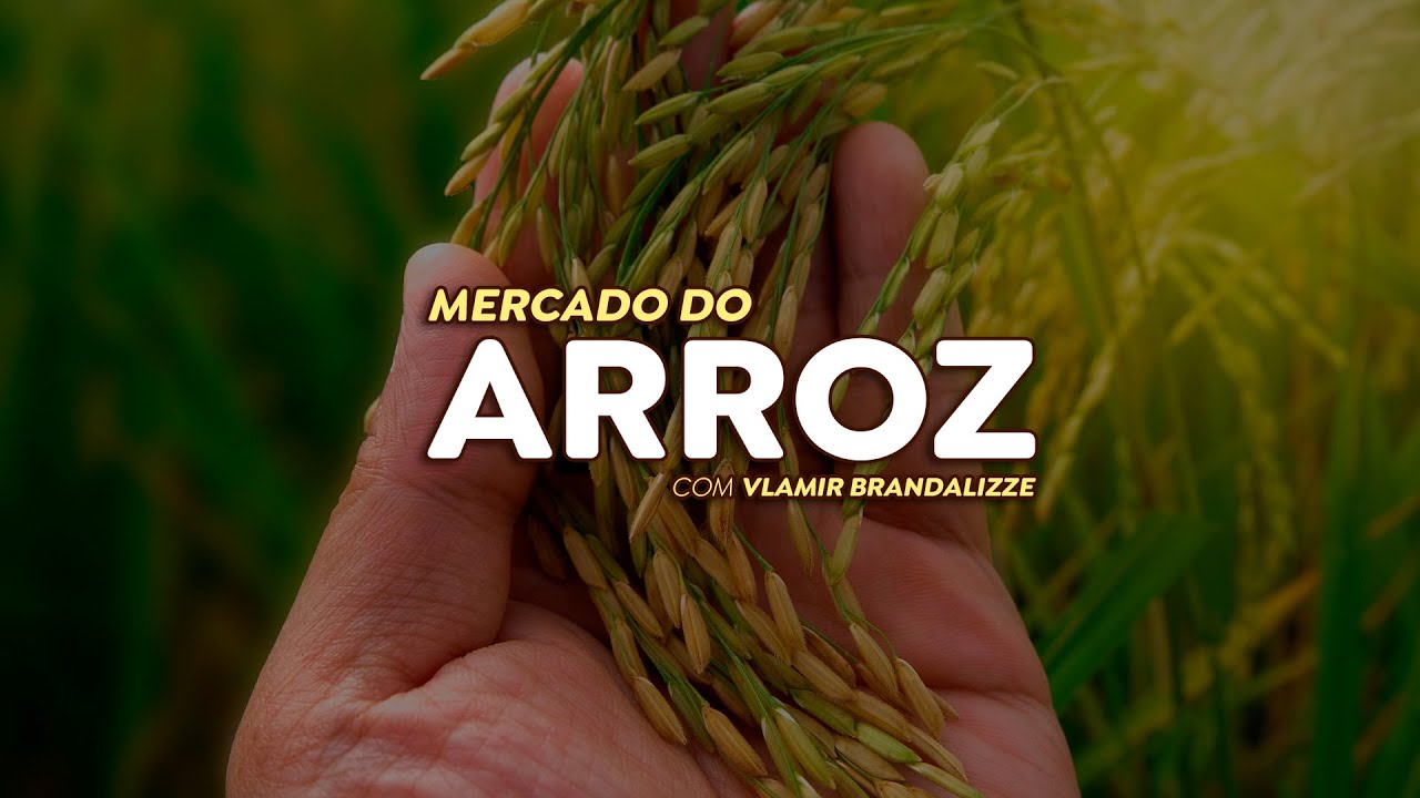 Consumo de arroz é menor que o esperado e mercado doméstico fica pouco atrativo.