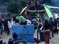 Symbiosis 2