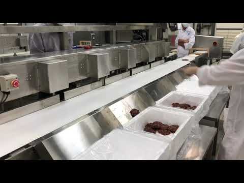 鰻魚片重量分級機